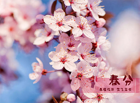 今日春分，不負(fù)時(shí)光，紅星加油干！